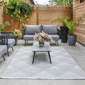 Outdoor Rug and furniture